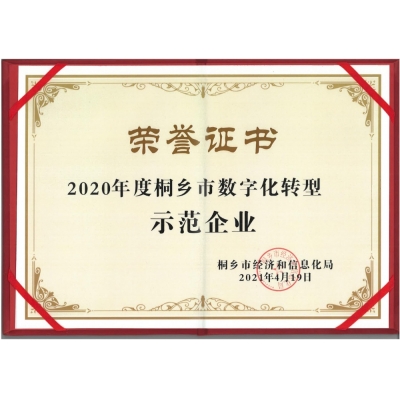 2020年度桐鄉(xiāng)市數(shù)字化轉(zhuǎn)型示范企業(yè)